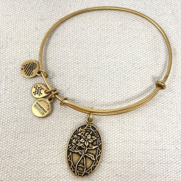 Alex and Ani Because I Love‎ You Friend Expandable Bracelet Gold-Tone Charm - Picture 1 of 7